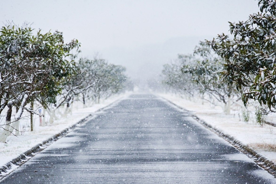 做不囿于天地的雪